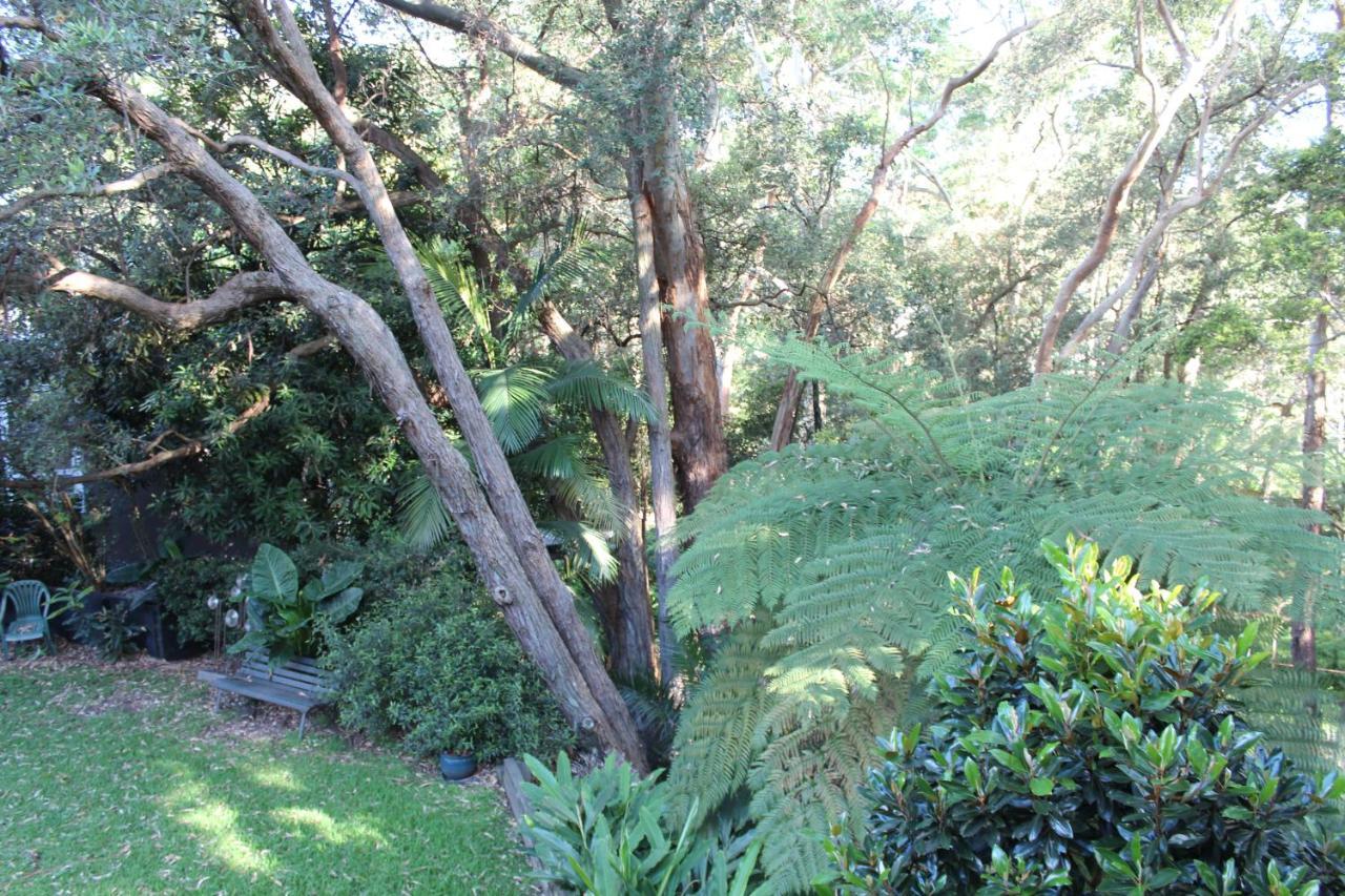 Bushland Setting Close To Sydney Cbd- Stand Alone Apartment Bagian luar foto